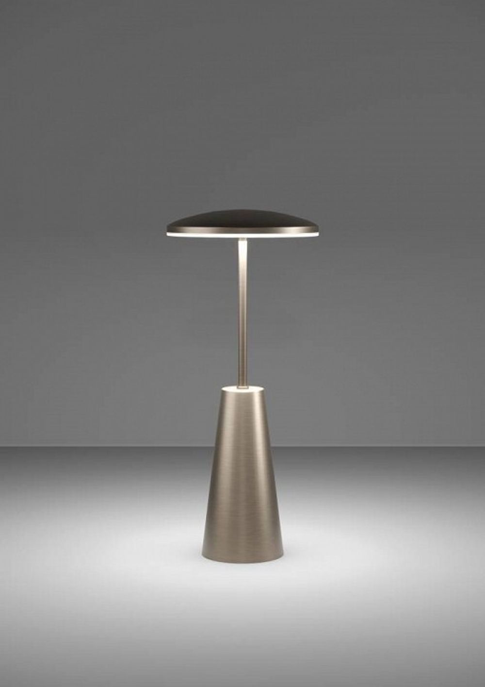 Настольная лампа декоративная Eglo PICCOLA 900924