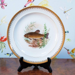 Столовый сервиз на 12 персон