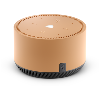 Умная колонка Яндекс Станция Лайт 1-го поколения с Алисой