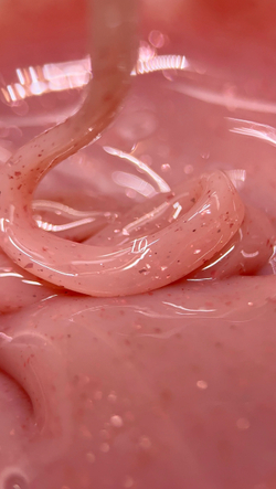 Моделирующий гель с поталью скидка 25мл