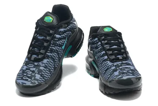 Кроссовки Nike Air Max Tn Plus "Double-Swoosh"