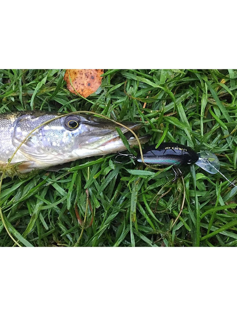 Воблер плавающий Lucky John Original PILOT-X F 04.50/001