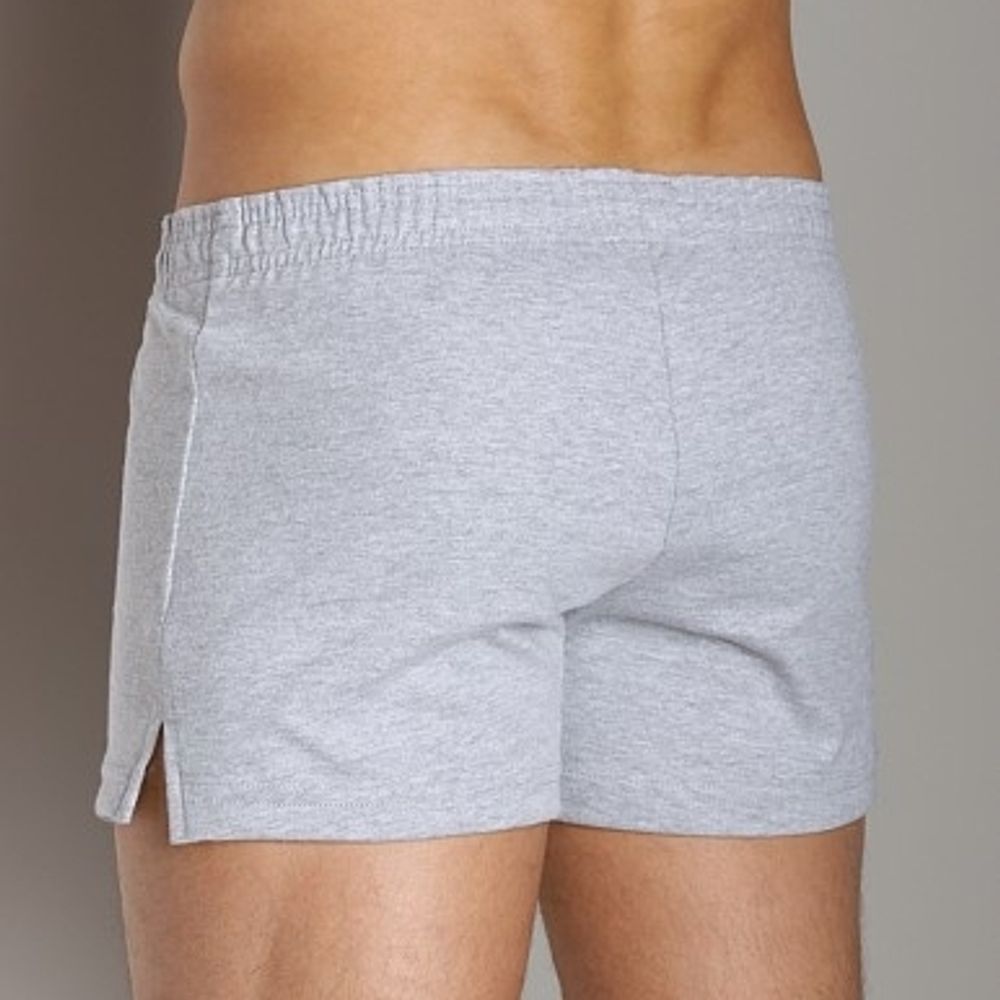 Мужские шорты  спортивные серые Andrew Christian PhysEd Varsity Shorts  4568