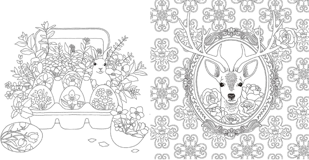 A Journey Through Flowers and Animals. Coloring Book