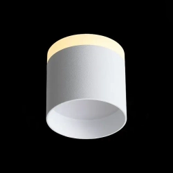 Потолочный светодиодный светильник ST Luce Panaggio ST102.502.12