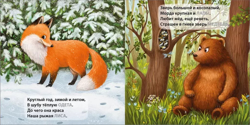 Книжки - картонки. Загадки - рифмы. Дикие животные