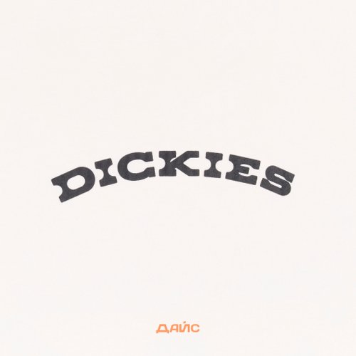 Футболка мужская Dickies Outdoor артикул:DK0A4Z8PC481 - купить в магазине Дайс