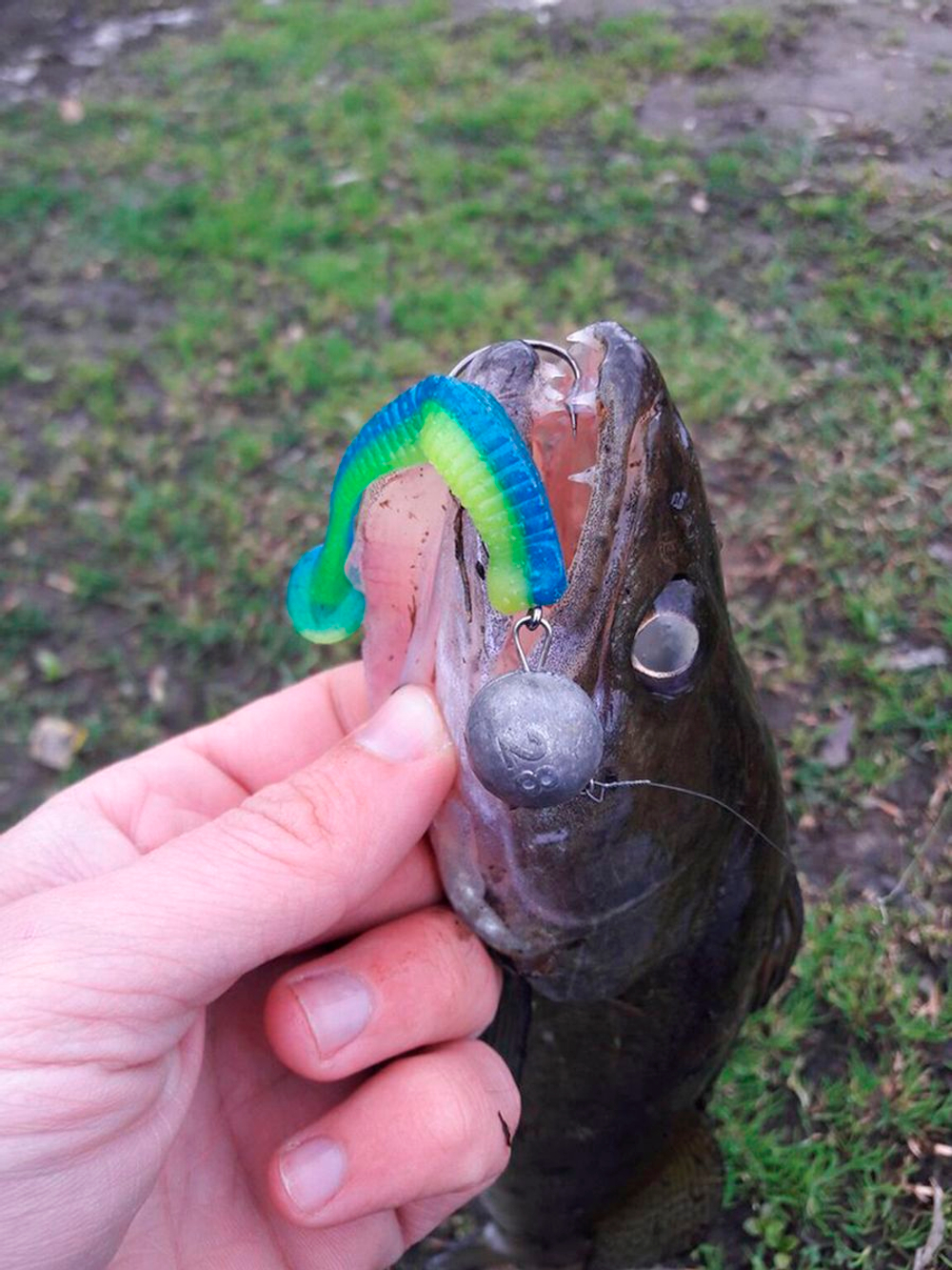 Виброхвосты съедобные LJ Pro Series LONG JOHN 3.1in (07.90)/S14 8 шт. в упак.