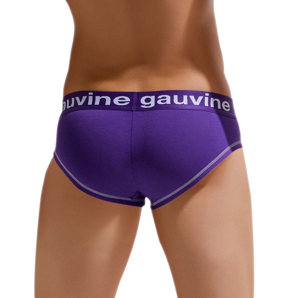 Мужские трусы брифы фиолетовые GAUVINE 3023