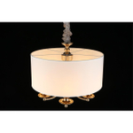 Подвесная люстра Aployt Berze APL.721.06.05