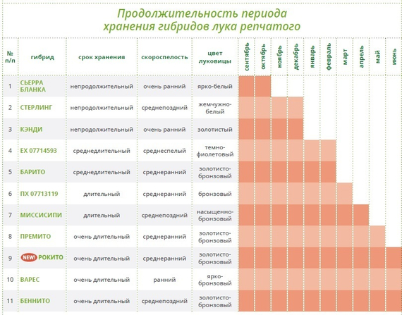 Рокито семена лука репчатого (Seminis / Семинис) – фото 8