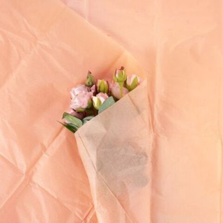 Бумага тишью-наполнитель 50*63 см 1/10шт Абрикосовый лед