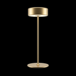 Аккумуляторный светильник Maytoni MOD229TL-L3G3K2