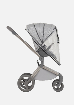 Anex Детская коляска Flo 2 в 1 Frossy