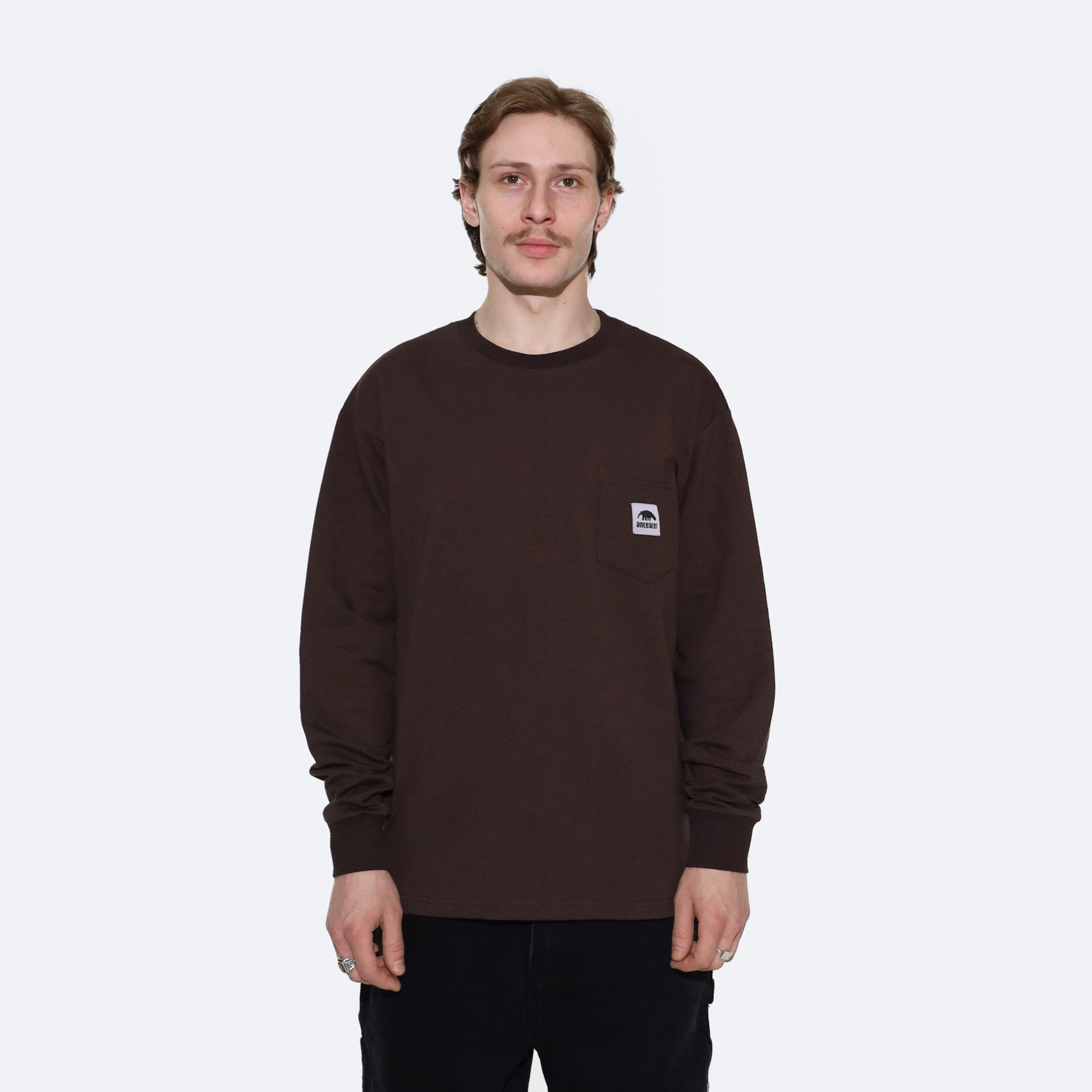 Лонгслив Anteater Phat Long050 (brown) артикул: - купить в магазине Дайс