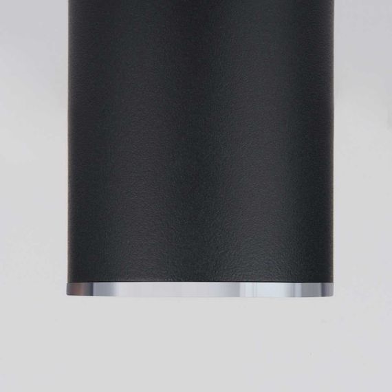 Потолочный светильник Elektrostandard DLN101 GU10 BK черный a043971