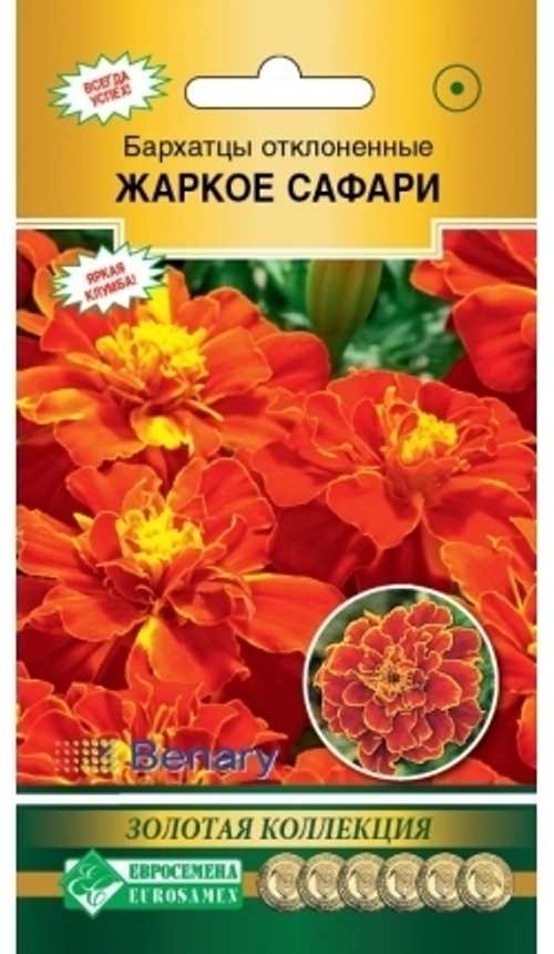 Бархатцы отклоненные Жаркое сафари
