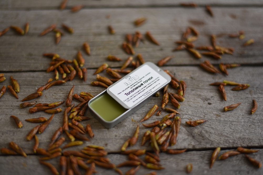 Тополиные почки, заживляющий бальзам