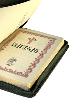 IMG_7783-PhotoRoom.png-PhotoRoom