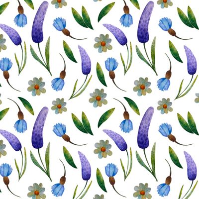 Васильки и ромашки акварельные на белом