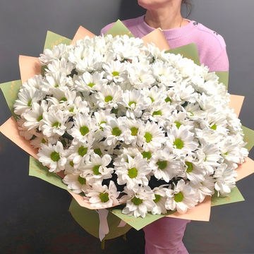 Букет из 15 кустовых хризантем сорта "KENNEDY WHITE"
