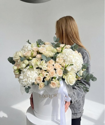 Превосходство с первого взгляда