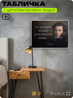 Литературный постер с цитатой А. С. Пушкина для школы, на стену, на пластике, для интерьера, 40х30 см, Silver Plane x Айдентика Технолоджи