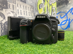Nikon D7500 4.000 кадров