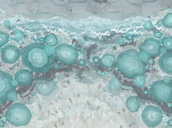 Коллекция WAVES