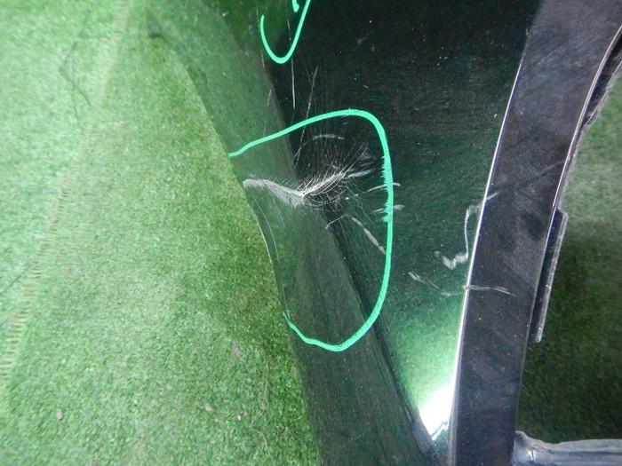 DSCN6785.JPG