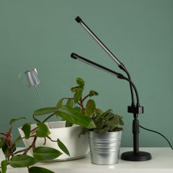 Настольный светильник для растений ЭРА FITO-20W-АLED-Ra-USB полного спектра 20 Вт черный