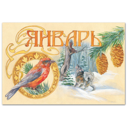 Январь в лесу