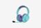 JBL Quantum 100M2_0126709105855