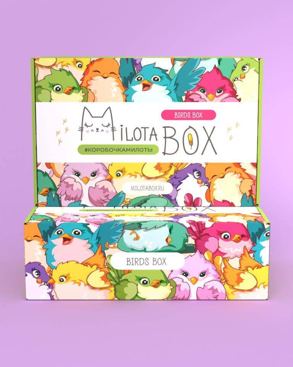 MilotaBox "Birds Box"