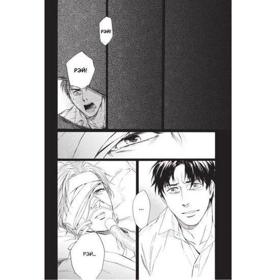 Манга. Город Кислоты. Том 4