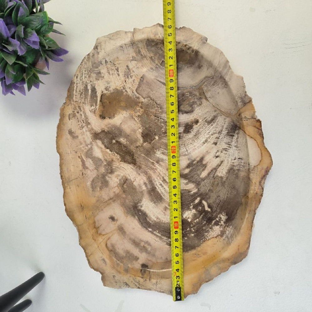 Набор из окаменелого дерева 4 предм Fossil Set NF-62871 поднос 29см*36см