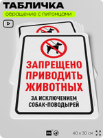 Табличка "Запрещено приводить животных" на дверь и забор, для двора, дома, подъезда, 40х30 см, Silver Plane x Айдентика Технолоджи