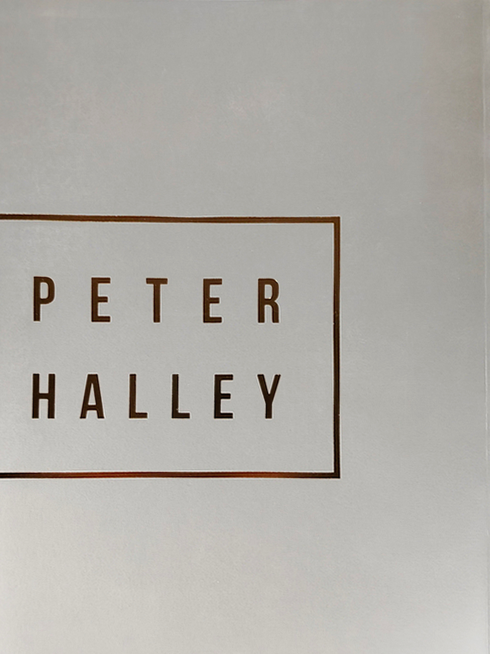 Питер Хейли / Peter Halley