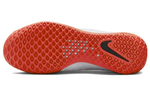 Кроссовки Nike Zoom Court Nxt Hc