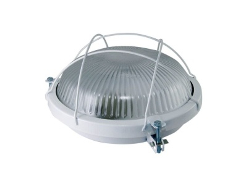 Светильник НПП 03-100-020.02 Рыбий глаз с решеткой 100Вт IP65 TDM