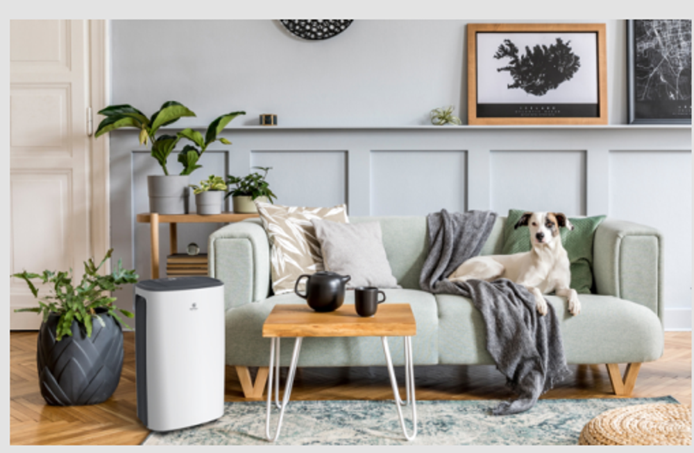 218_ Осушитель воздуха серии CARISMA Loft арт. RD-CR20-E ROYAL CLIMA