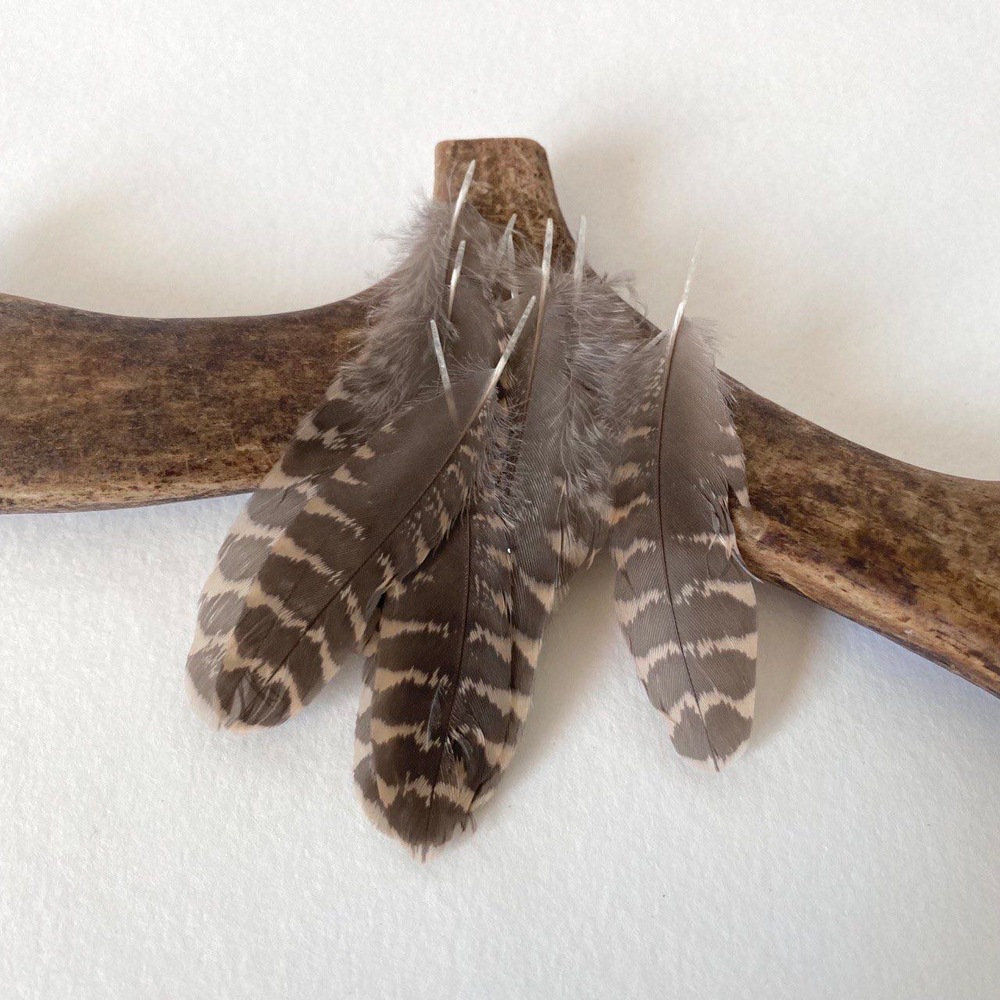 Перья вальдшнепа коричневые 6-9 см. 10 шт.