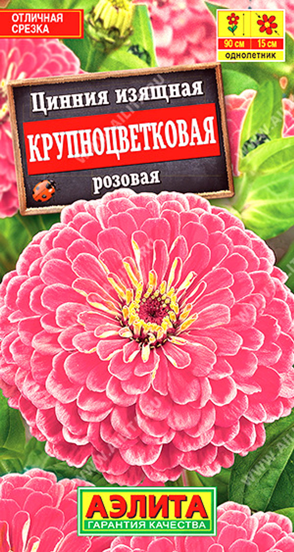 Цинния Крупноцветковая розовая