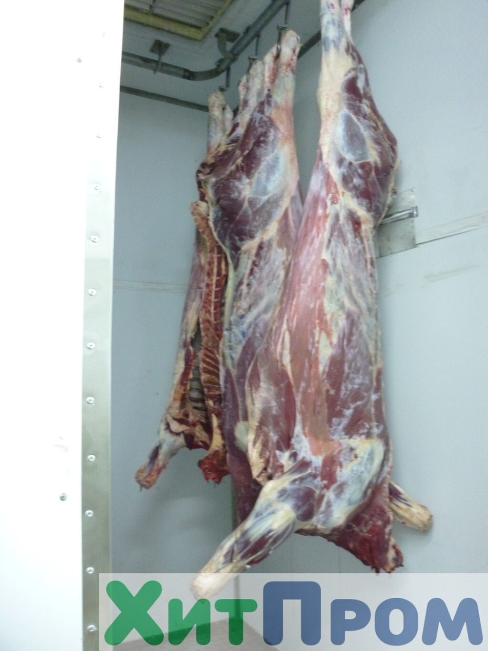 Комплекс убоя и переработки КРС до 20 голов/смена и МРС до 200 голов/смена. р. Татарстан