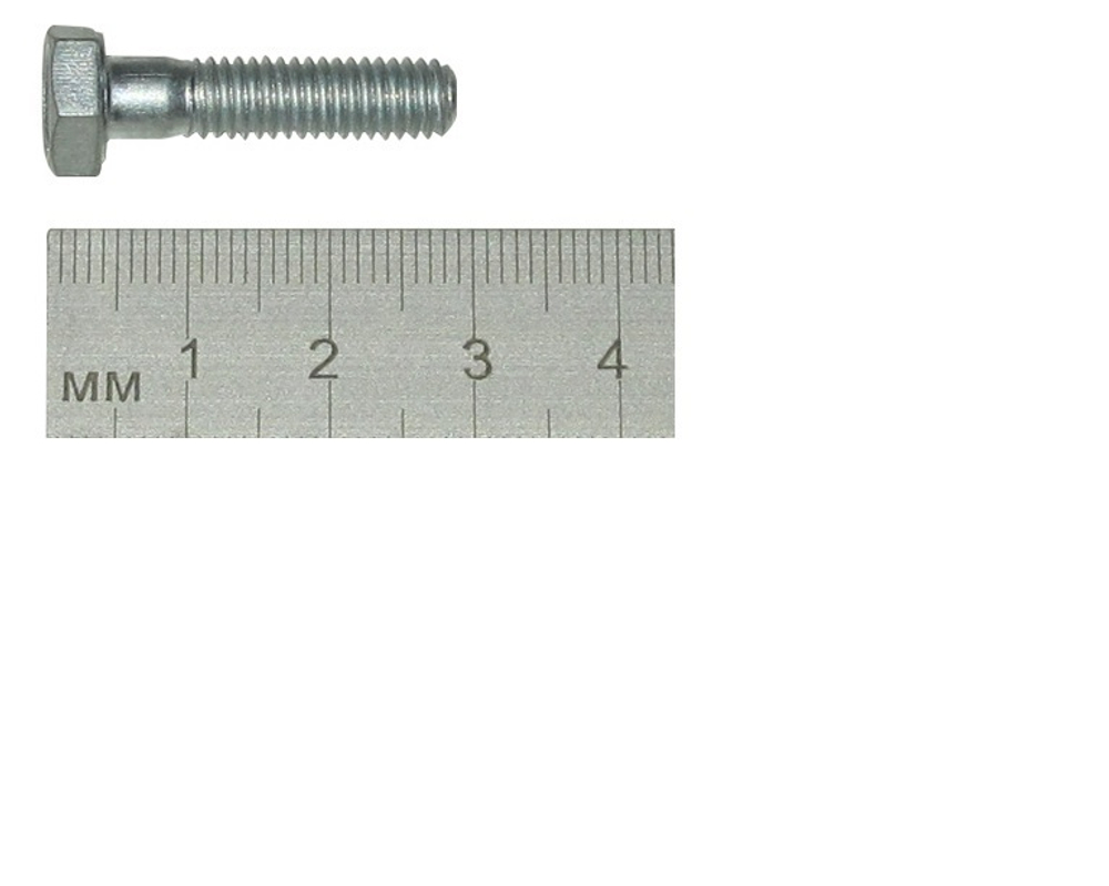 Болт маслоприемника 1118, 2170 (М6х25)
