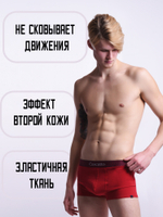 Трусы мужские боксеры (3 штуки в упаковке)