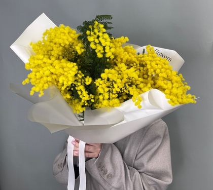 Охапка итальянской мимозы