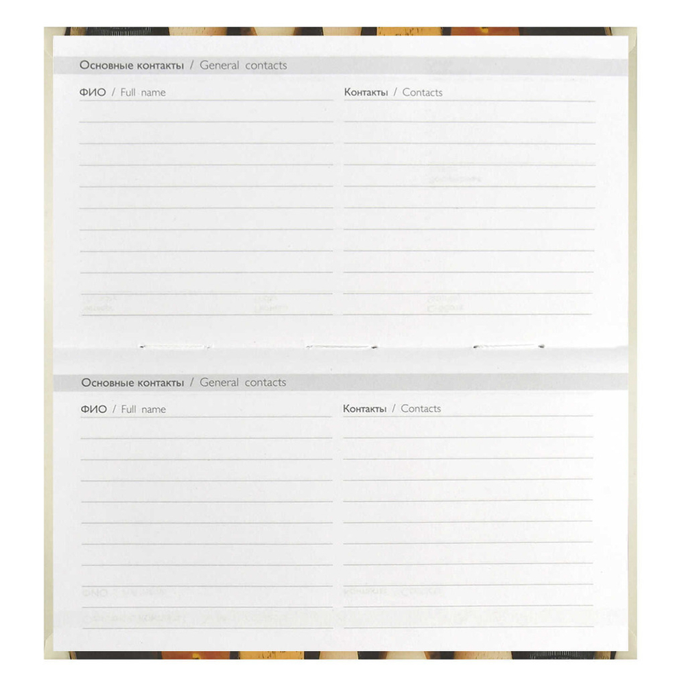 Еженедельник недатированный 171*93 мм ЭСКАЛАДА Веселые коты (71568)