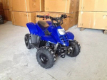 Квадроцикл RAPTOR 110