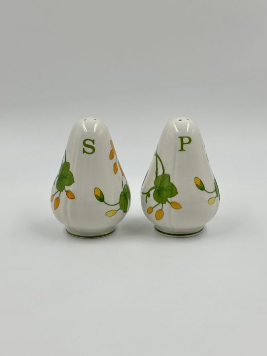 Набор для специй Villeroy & Boch, Geranium